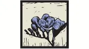 Forth Floral