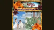 The Wedding K.I.S.S