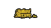 Ballard Blossom
