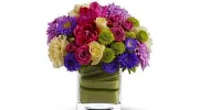 Flower After Flower