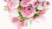 Bouquets & Balloons