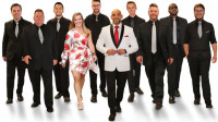 Wedding Band