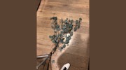Flowers By Diane