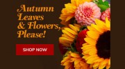 Clark's House Of Flowers