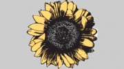 Harrington Smith Floral