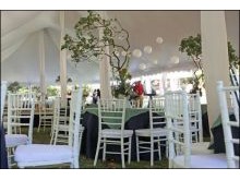 White Chiavari Chair Rental