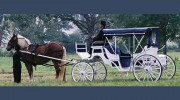Deep South Carriage